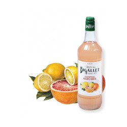 SIROP COCKTAIL AGRUMES BIGALLET
