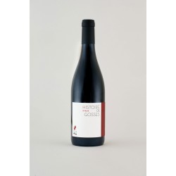 VIN DE FRANCE SYRAH HISTOIRE DE GOSSES HUGO ET PAULINE VILLA