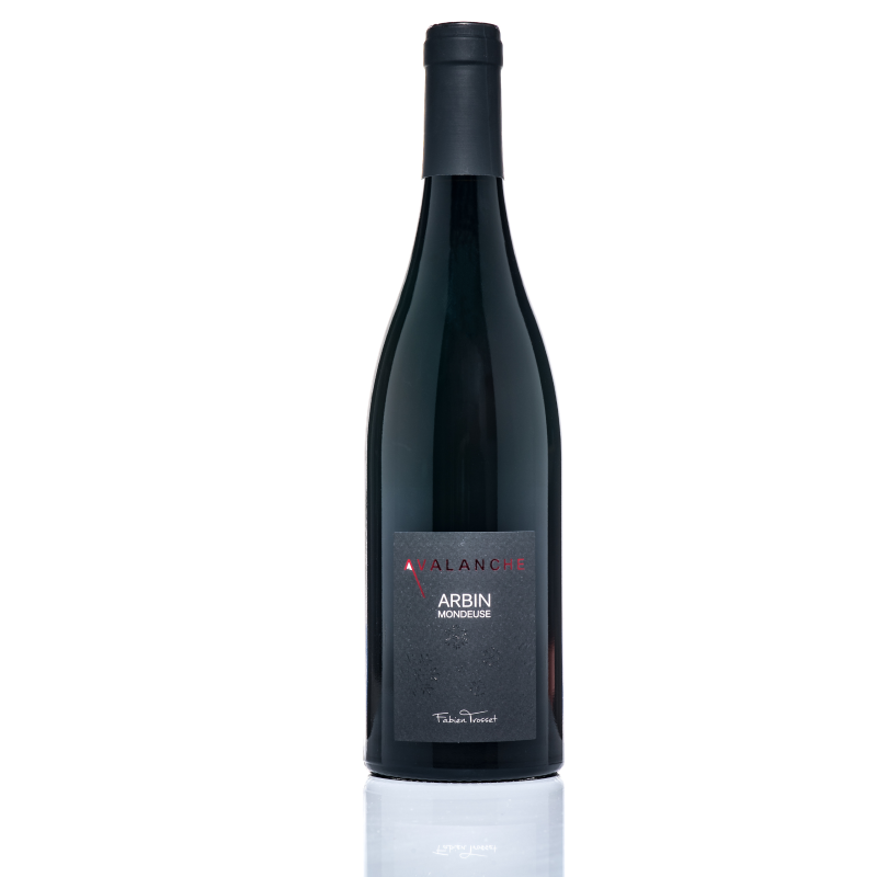 ARBIN MONDEUSE AVALANCHE FABIEN TROSSET