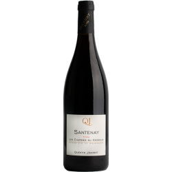 SANTENAY LES CHARMES DU DESSOUS QUENTIN JEANNOT