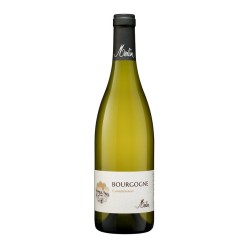 BOURGOGNE CHARDONNAY DOMAINE MERLIN