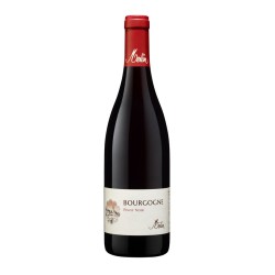 BOURGOGNE PINOT NOIR DOMAINE MERLIN