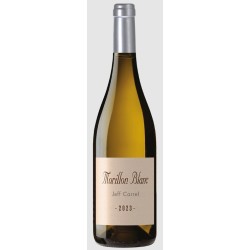 VIN DE FRANCE MORILLON JEFF CARREL