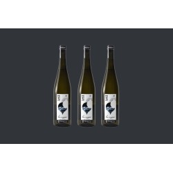 SAKE LA VAGUE LES LARMES DU LEVANT