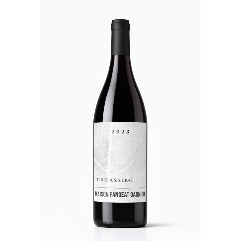 COTEAUX DU LYONNAIS ROUGE TERRE A SIX BRAS DOMAINE D YF
