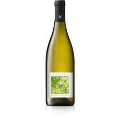 IGP COLLINES RHODANIENNES MARSANNE MARSANA DOMAINE DES 4 VENTS