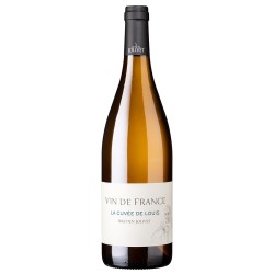 VIN DE FRANCE LA CUVEE DE LOUIS BLANC BASTIEN JOLIVET