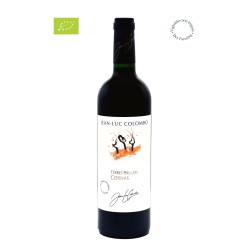 CORNAS TERRES BRULEES DOMAINE COLOMBO